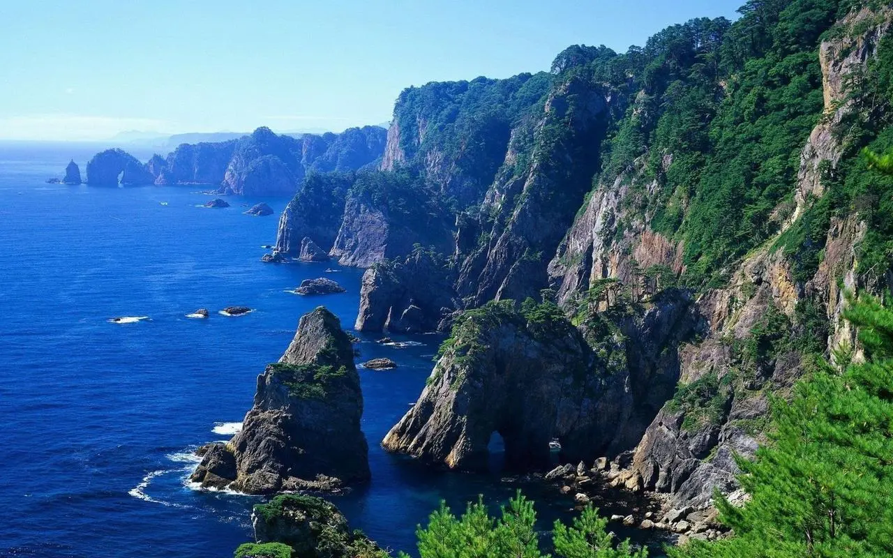 高端高端